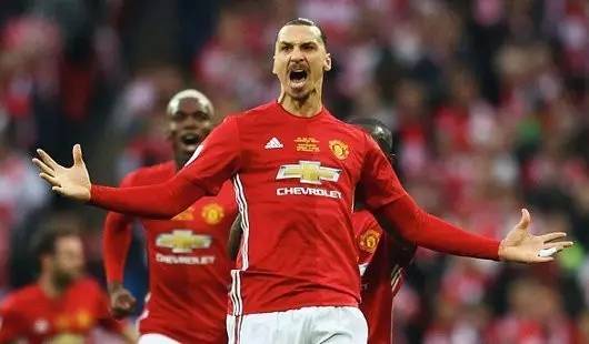 文化适应 文化适应